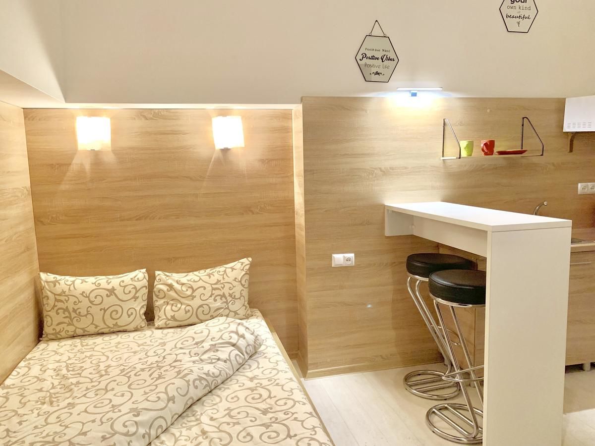 Апартаменты Mini-Smart- квартира в центральній частині Львова для пари Львов-4