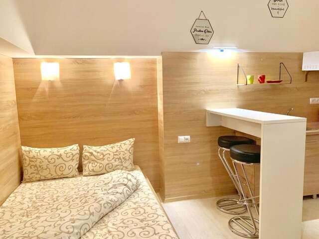 Апартаменты Mini-Smart- квартира в центральній частині Львова для пари Львов-16